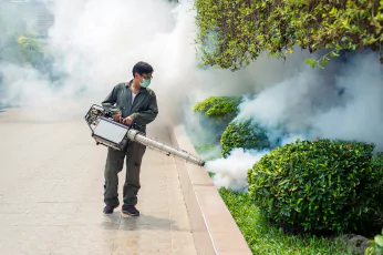Mosquito Control Doncaster